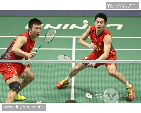 南京羽毛球队区域防守体系解析与战术应用探讨